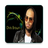 CHRIS BROWN-Songs Offline (50 Songs)