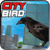 City Bird