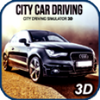 City Car Driving 3D