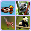 Animal Quiz