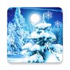 Winter Forest Live Wallpaper