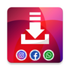 Social Media Downloader