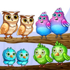 Color Bird Sort - Puzzle Games