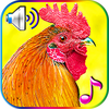 Funny Alarm Clock Ringtones