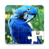 Jigsaw Puzzles - Puzzle Games