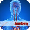 Anatomy And Physiology