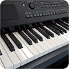 Real Piano-Piano Keyboard