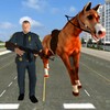 US Police Horse Criminal Chase