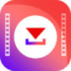 Video Downloader