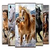 Horse Wallpapers