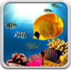 Coral Reef Live Wallpaper