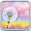 Dandelion Live Wallpaper