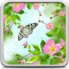 Spring Flowers Live Wallpaper