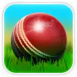 Cricket 3D