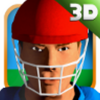 Cricket Simulator