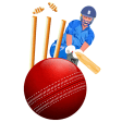 Cricket Sticker Packs