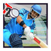 Cricket Top Games