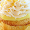 Cupcakes Baking Recipes