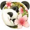 Cute Baby Panda Theme