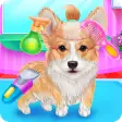 Cute Corgis Caring and Dressup