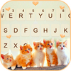 Cute Kittens Keyboard Backgrou