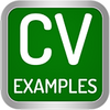 CV Examples: PDF CV Templates