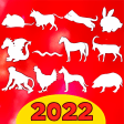 Daily Chinese horoscope 2022