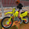 Dirt Bike Stunts