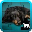 Dog Jigsaw Puzzle