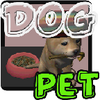 Dog Pet