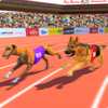 Dog Race 2019