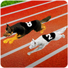 Dog Racing Fever 3D