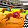 Dog Racing game - dog games