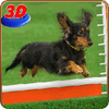 Dog Stunt Show Simulator 3D