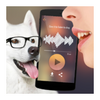 Dog Voice Translator