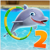 Dolphin Show 2