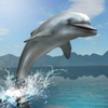 Dolphin Survival Simulator