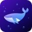 Dolphin VPN 