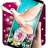 Dove Romantic Live Wallpaper