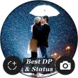 DP and Status