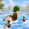 Duck Family Life Simulator 3D