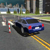 Dynamic Driving Test 3D