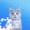 Jigsaw Puzzles