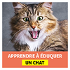 Éduquer un Chat