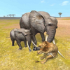 Elephant Survival Simulator