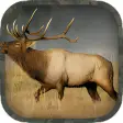 Elk Hunting Calls