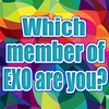 EXO Quizz