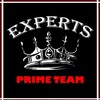 Experts Prime Team