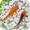 Fish Live Wallpaper Aquarium