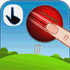 Flick Cricket 3D